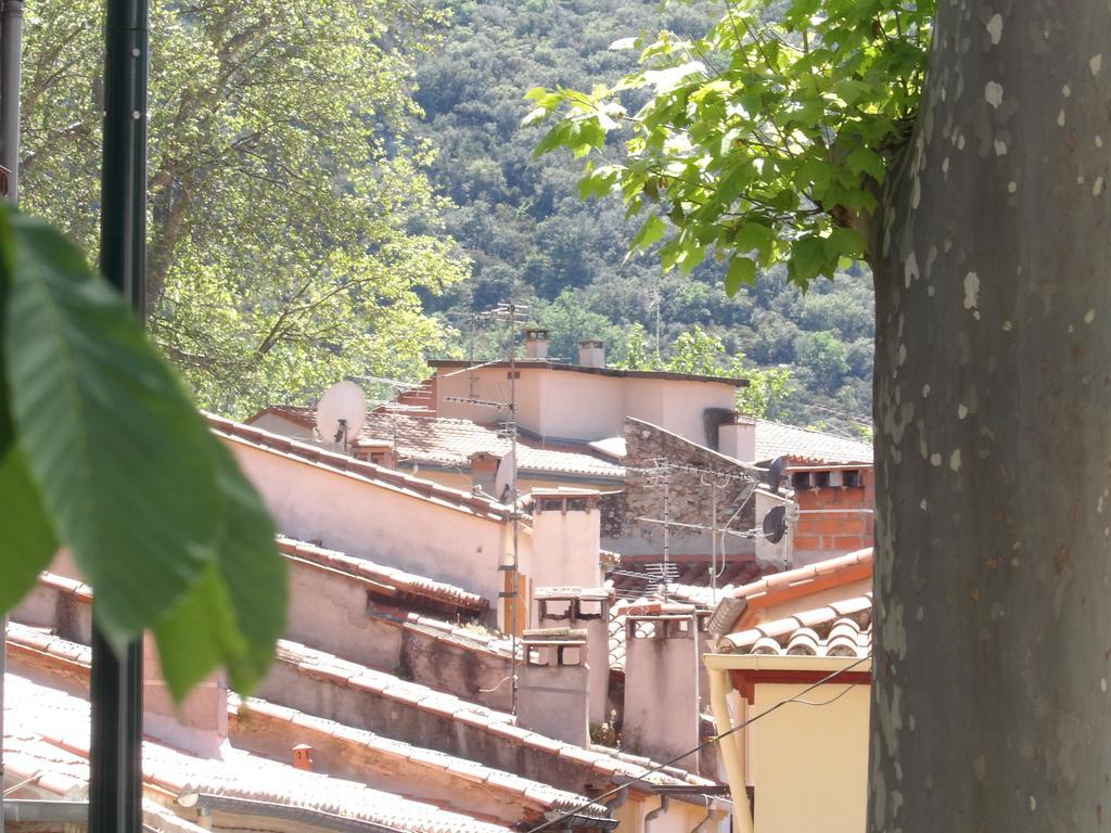 Poppys Apartment Ceret Exterior photo